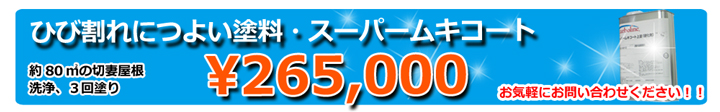 屋根塗装もやっています